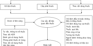 QUÁ TRÌNH CHĂM SÓC BẰNG THUỐC