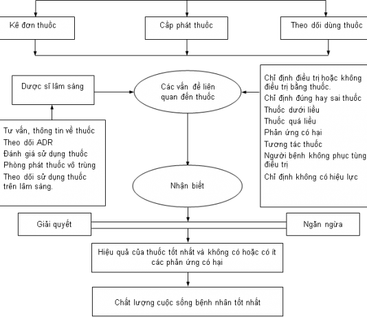 QUÁ TRÌNH CHĂM SÓC BẰNG THUỐC