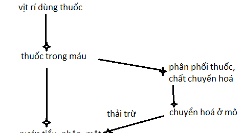 DƯỢC ĐỘNG HỌC VÀ TẦM QUAN TRỌNG