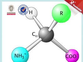 Công nghệ sản xuất acid amin