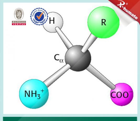 Công nghệ sản xuất acid amin