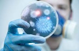 Công nghệ lên men