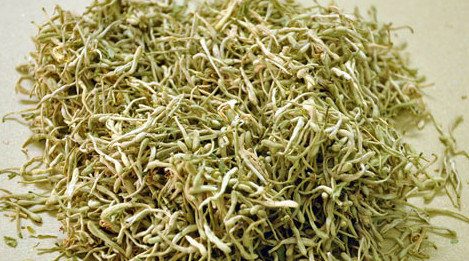 Các bài thuốc từ kim ngân