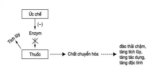 Ức chế enzym gan