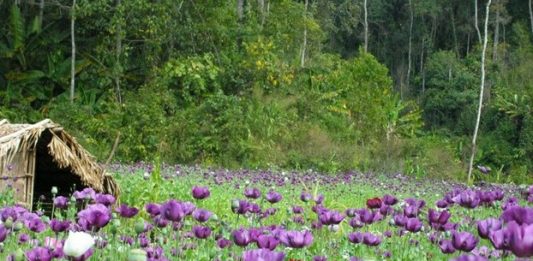 Các bước của quá trình tạo hạt ướt