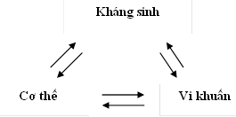 SỰ ĐỀ KHÁNG THUỐC KHÁNG SINH
