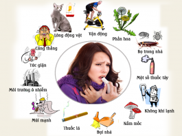 Các bài thuốc chữa hen phế quản (phần 2)