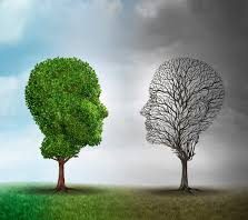 Nguyên nhân của bệnh rối loạn lưỡng cực