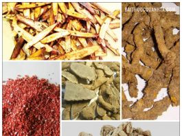 Phương thuốc Chu sa An Thần Hoàn ( Nội Ngoại Thương Biện hoặc Luận)