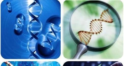 Công nghệ sinh học – Một sự theo đuổi đa ngành