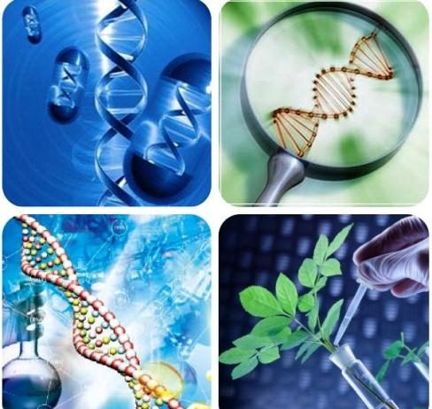 Công nghệ sinh học – Một sự theo đuổi đa ngành