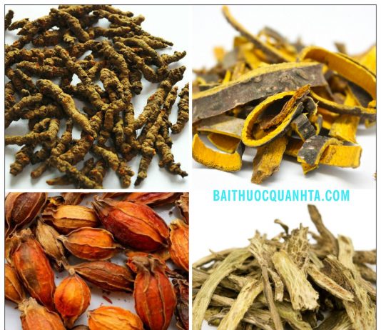 Bài thuốc hoàng liên giải độc thang