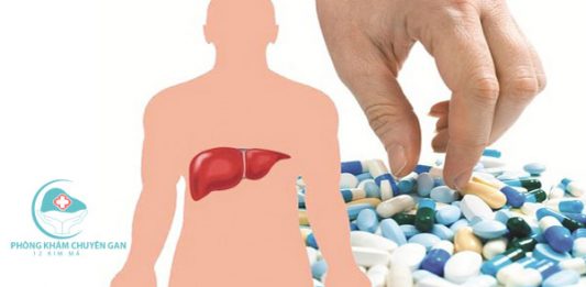 Chuyển hóa và thải trừ thuốc trong cơ thể