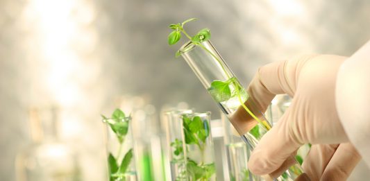 Qúa trình phát triển của công nghệ sinh học