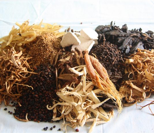 Các bài thuốc chữa lao phổi