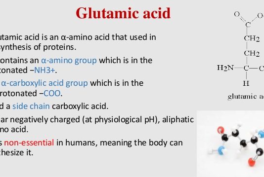 Vi sinh vật sinh tổng hợp acid glutamic