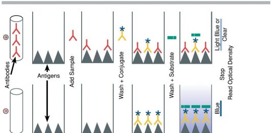 Phương pháp bất động enzym