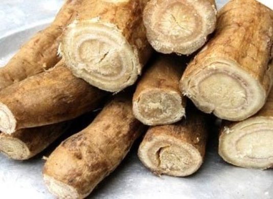 Dinh dưỡng từ sắn và cách phòng chóng ngộ độc sắn