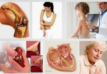 Lá ngón chất độc nguy hiểm