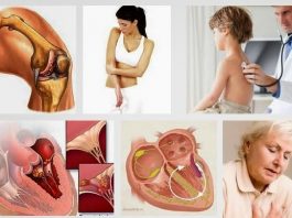 Lá ngón chất độc nguy hiểm