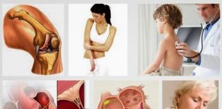 Lá ngón chất độc nguy hiểm