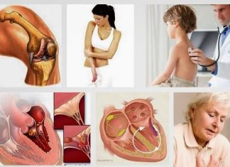 Lá ngón chất độc nguy hiểm