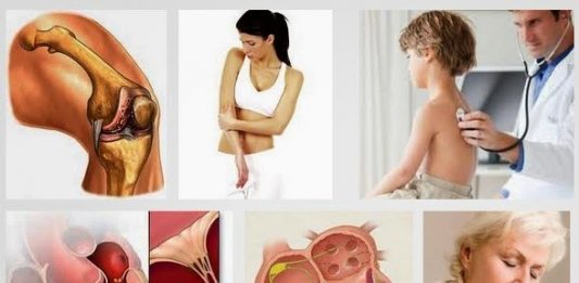 Lá ngón chất độc nguy hiểm