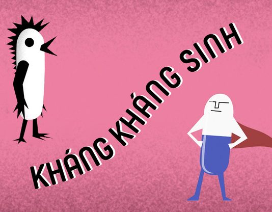 Định lượng kháng sinh bằng phương pháp pha loãng liên tục