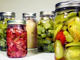 Giới thiệu tổng quát về kỹ thuật lên men