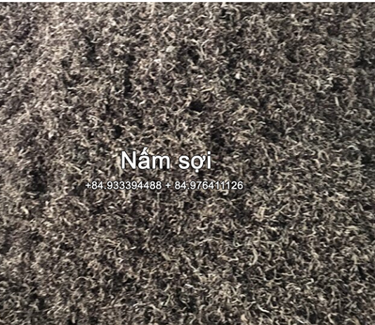 Vô cơ hóa và phân lập các KL