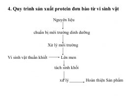 Ưu nhược điểm của sản xuất protein đơn bào – SCP