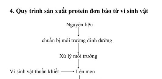 Ưu nhược điểm của sản xuất protein đơn bào – SCP