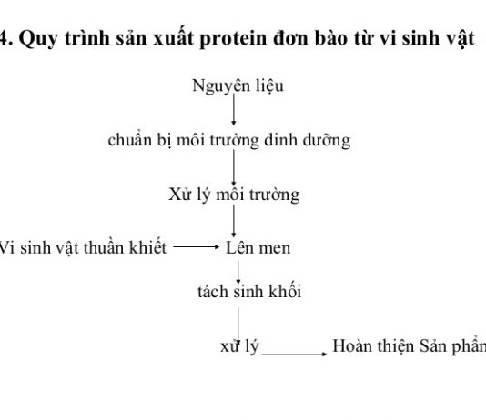ĐIỀU TRỊ GERD