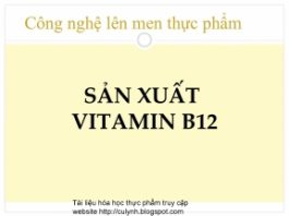 Quy trình sản xuất vitamin B12
