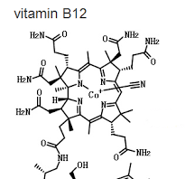 Tổng quan về vitamin B12