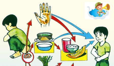 Các bài thuốc điều trị ỉa chảy