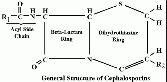 Tổng quan về sản xuất các cephalosporin