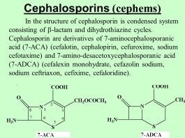 Sản xuất 7 – ACA, 7 – ADCA và các kháng sinh bán tổng hợp nhóm cephalosporin