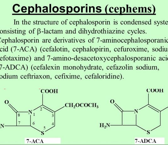 Sản xuất 7 – ACA, 7 – ADCA và các kháng sinh bán tổng hợp nhóm cephalosporin