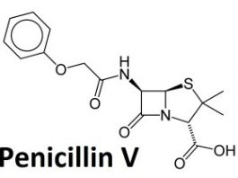 Quy trình lên men sinh tổng hợp penicillin