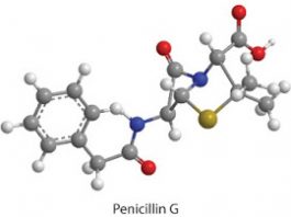 Đại cương về các penicillin bán tổng hợp