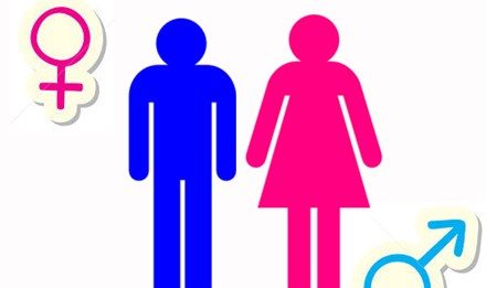 Những khác biệt giới tính trong nghiên cứu