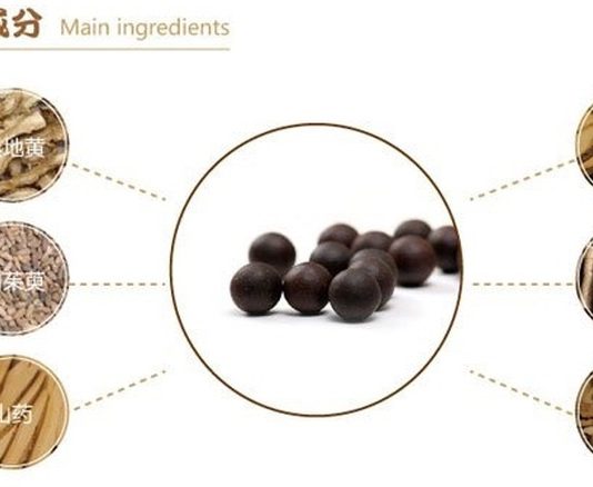 Các bài thuốc điều trị thiếu máu (phần 2)