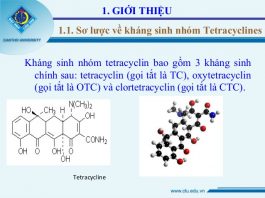 Sinh tổng hợp các tetracyclin tự nhiên