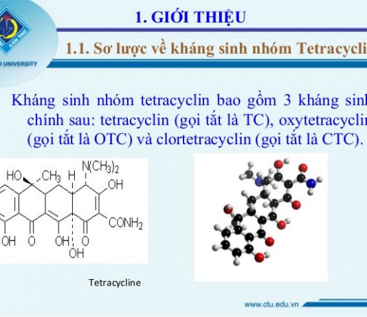 Sinh tổng hợp các tetracyclin tự nhiên