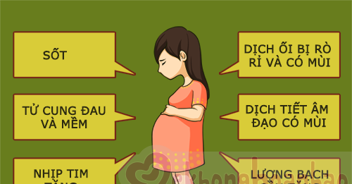 Một số bệnh nhiễm trùng do vi khuẩn khi có thai