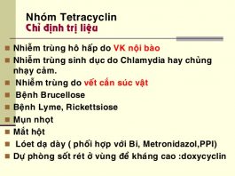 Tổng quan về sản xuất kháng sinh nhóm tetracyclin