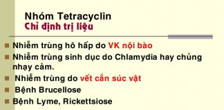 Tổng quan về sản xuất kháng sinh nhóm tetracyclin