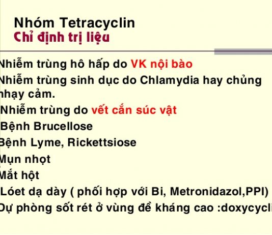 Tổng quan về sản xuất kháng sinh nhóm tetracyclin