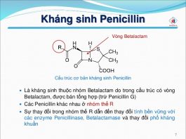 Cấu trúc hóa học, phân loại, tính chất, chiết xuất và tinh chế penicillin